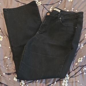 Coldwater Creek Black Straight Leg Jeans
